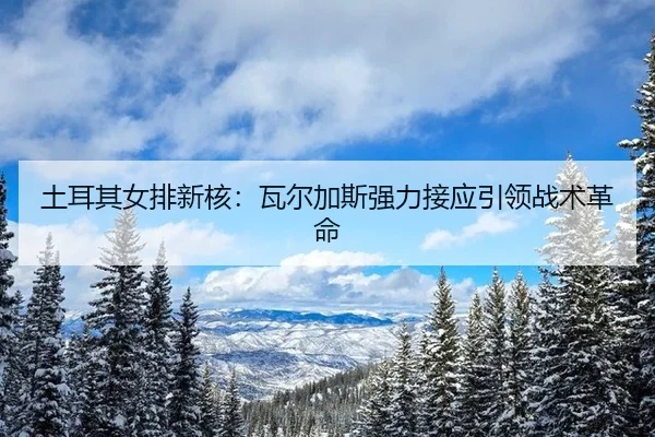 土耳其女排新核：瓦尔加斯强力接应引领战术革命