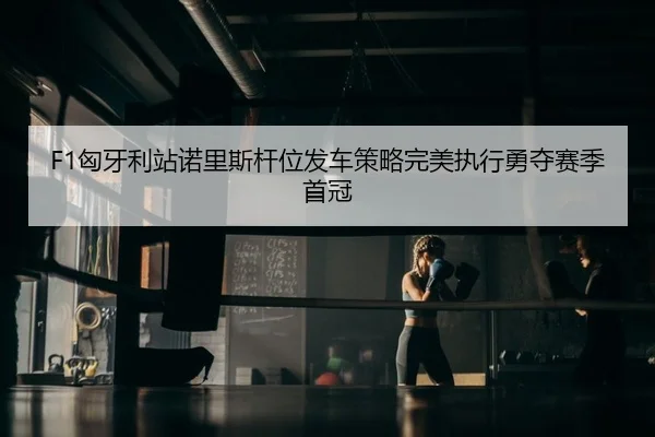 F1匈牙利站诺里斯杆位发车策略完美执行勇夺赛季首冠